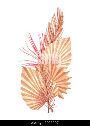 Getrocknete tropische Palmenblätter bilden Bouquets. Pastellfarbene, wässrige Blumenvorlage, isolierte Kollektion für Hochzeitskranz, Blumenstrauß, Dekorationsdesign Stockfoto