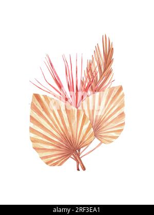 Getrocknete tropische Palmenblätter bilden Bouquets. Pastellfarbene, wässrige Blumenvorlage, isolierte Kollektion für Hochzeitskranz, Blumenstrauß, Dekorationsdesign Stockfoto