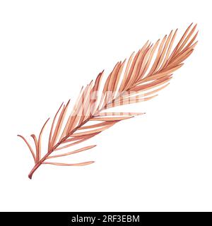 Getrocknete tropische Palmenblätter. Pastellfarbene, wässrige Blumenvorlage, isolierte Kollektion für Hochzeitskranz, Blumenstrauß, Dekorationselemente. Stockfoto