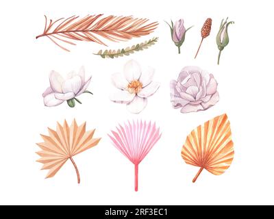 Rosarose, Hortensien, getrocknete tropische Palmenblätter. Pastellfarbene, wässrige Blumenvorlage, isolierte Kollektion für Hochzeitskranz, Blumenstrauß Stockfoto
