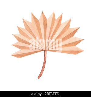 Getrocknete tropische Palmenblätter. Pastellfarbene, wässrige Blumenvorlage, isolierte Kollektion für Hochzeitskranz, Blumenstrauß, Dekorationselemente Stockfoto