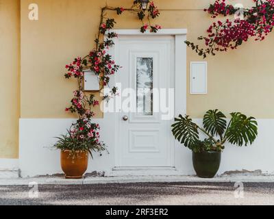 Traditionelles gelbes Steinhaus mit weißer Tür und verschiedenen Blumen schmücken den Eingang zum Haus in der Altstadt. Stockfoto