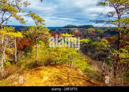 Malerischer Blick auf Ravens Rock vom Auxier Ridge Trail in Red River Gorge, Kentucky Stockfoto