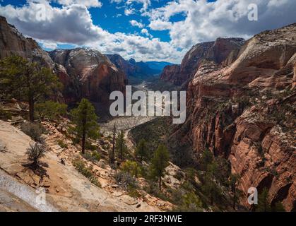 Blick auf den Zion Canyon von der Spitze des Angels Landing ViewPoint, Zion, Utah, USA Stockfoto