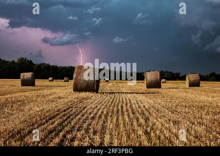 Landwirtschaft, Gewitter, Himmel mit Blitzen über Weizenfeld mit Strohballen Stockfoto