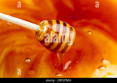 Ein Löffel für Honig zusammen mit hochwertigem Bienenhonig, ein alter Tisch, auf dem ein gesunder und süßer Bienenhonig steht, und ein hausgemachter Holzlöffel das Stockfoto