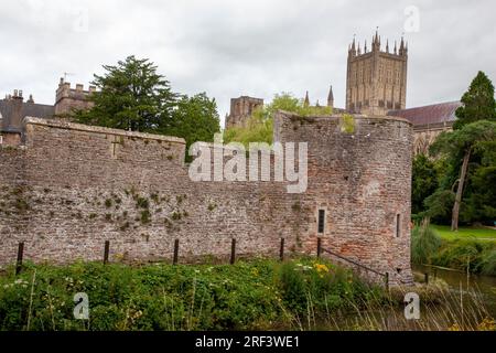 Wells Cathedral aus der Sicht der Bishop's Palace Gardens in Wells Somerset Stockfoto