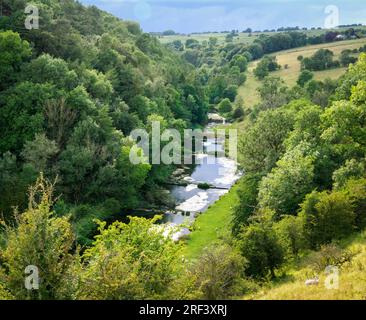 Blick auf die Weirs und Forellenbecken des Lower River Lathkill über Haddon im Derbyshire Peak District UK Stockfoto