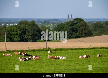 Sonsbecker Schweiz, ein Teil der niederrhenischen Hügelkette, eine Endmoraine mit Rammoberfläche, die während der letzten kalten Zeit, der Eiszeit, wi, hochgeschoben wurde Stockfoto