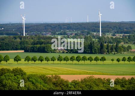 Sonsbecker Schweiz, ein Teil der Niederrhenischen Gebirgskette, hat während der letzten Kältezeit, Eiszeit, eine Rammbock-Endmoraine hochgeschoben, mit einer Höhe Stockfoto