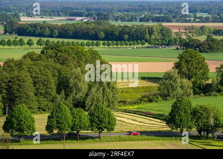 Sonsbecker Schweiz, ein Teil der Niederrhenischen Gebirgskette, hat während der letzten Kältezeit, Eiszeit, eine Rammbock-Endmoraine hochgeschoben, mit einer Höhe Stockfoto