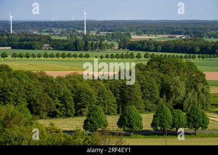 Sonsbecker Schweiz, ein Teil der Niederrhenischen Gebirgskette, hat während der letzten Kältezeit, Eiszeit, eine Rammbock-Endmoraine hochgeschoben, mit einer Höhe Stockfoto