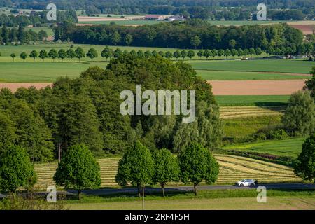 Sonsbecker Schweiz, ein Teil der Niederrhenischen Gebirgskette, hat während der letzten Kältezeit, Eiszeit, eine Rammbock-Endmoraine hochgeschoben, mit einer Höhe Stockfoto