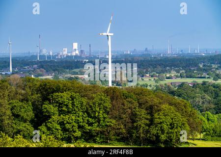 Sonsbeck Schweiz, ein Teil der Niederrhenischen Gebirgskette, eine Endmoräne mit Rammoberfläche, mit einer Höhe von 87 Metern über dem Meeresspiegel, die geschoben wurde Stockfoto