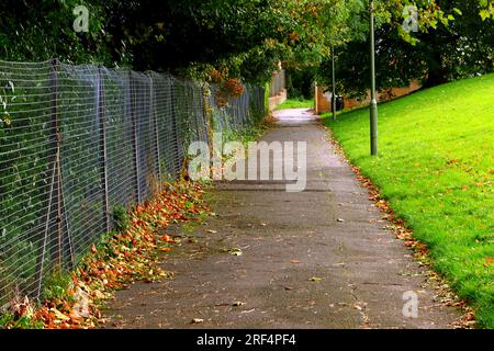 Ein langer, gerader Fußweg im Herbst mit grünem Gras auf der einen Seite und ein Drahtzaun mit Herbstblättern am Fuß auf der anderen Seite. Stockfoto