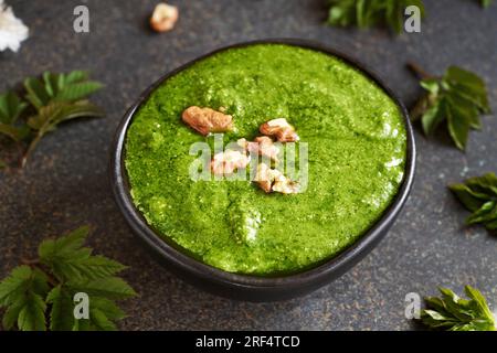 Grüne Pesto-Sauce aus jungen Goutweed- oder gemahlenen Altenblättern, die im Frühjahr geerntet wurden Stockfoto