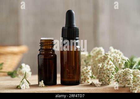 Dunkle Flaschen ätherisches Aromatherapie-Öl mit frischen Schafgartenblumen auf einem Tisch Stockfoto