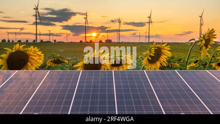 Konzept für saubere Energie, Photovoltaikmodule und Windturbinen sowie blühende Sonnenblumen Stockfoto