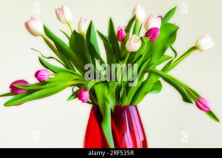 BLUMENARRANGEMENTS: Tulpen in roter Vase © Edmund Nagele FRPS Stockfoto