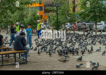 Menschen füttern Tauben in einem Park vor dem Gandantegchinlen-Kloster in Ulaanbaatar, Mongolei. Stockfoto