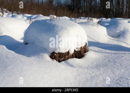 Große Schneewehen nach Schneefällen und Schneestürmen, die Wintersaison mit kaltem Wetter und vielen Niederschlägen in Form von Schnee Stockfoto