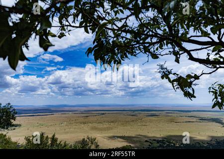 Kenianische Landschaften In Angama Mara Maasai Mara National Game Reserve Park Great Rift Valley Narok County Kenia Ostafrika Reist Afrika Dokumentarfilm Ex Stockfoto