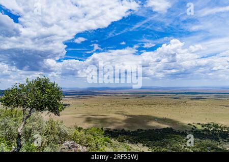 Kenianische Landschaften In Angama Mara Maasai Mara National Game Reserve Park Great Rift Valley Narok County Kenia Ostafrika Reist Afrika Dokumentarfilm Ex Stockfoto