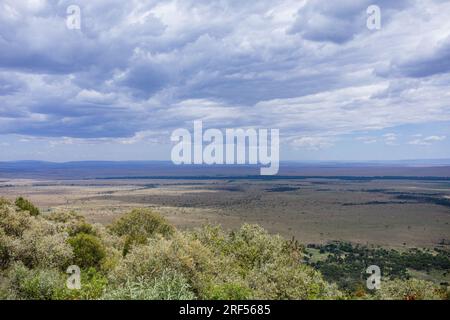 Kenianische Landschaften In Angama Mara Maasai Mara National Game Reserve Park Great Rift Valley Narok County Kenia Ostafrika Reist Afrika Dokumentarfilm Ex Stockfoto