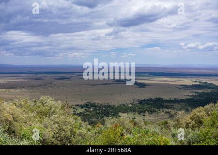 Kenianische Landschaften In Angama Mara Maasai Mara National Game Reserve Park Great Rift Valley Narok County Kenia Ostafrika Reist Afrika Dokumentarfilm Ex Stockfoto