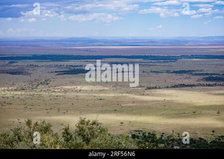 Kenianische Landschaften In Angama Mara Maasai Mara National Game Reserve Park Great Rift Valley Narok County Kenia Ostafrika Reist Afrika Dokumentarfilm Ex Stockfoto