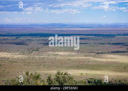 Kenianische Landschaften In Angama Mara Maasai Mara National Game Reserve Park Great Rift Valley Narok County Kenia Ostafrika Reist Afrika Dokumentarfilm Ex Stockfoto