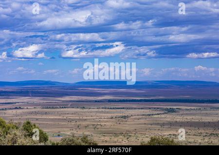 Kenianische Landschaften In Angama Mara Maasai Mara National Game Reserve Park Great Rift Valley Narok County Kenia Ostafrika Reist Afrika Dokumentarfilm Ex Stockfoto