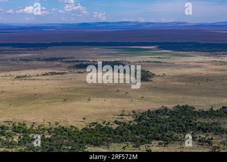 Kenianische Landschaften In Angama Mara Maasai Mara National Game Reserve Park Great Rift Valley Narok County Kenia Ostafrika Reist Afrika Dokumentarfilm Ex Stockfoto