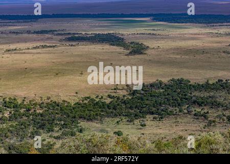 Kenianische Landschaften In Angama Mara Maasai Mara National Game Reserve Park Great Rift Valley Narok County Kenia Ostafrika Reist Afrika Dokumentarfilm Ex Stockfoto