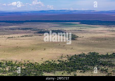 Kenianische Landschaften In Angama Mara Maasai Mara National Game Reserve Park Great Rift Valley Narok County Kenia Ostafrika Reist Afrika Dokumentarfilm Ex Stockfoto