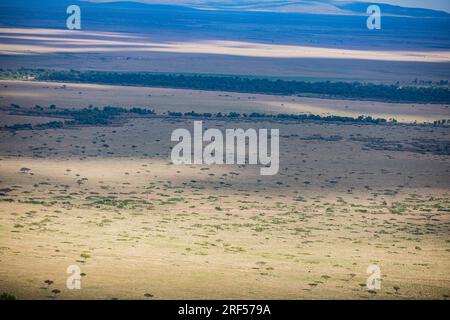 Kenianische Landschaften In Angama Mara Maasai Mara National Game Reserve Park Great Rift Valley Narok County Kenia Ostafrika Reist Afrika Dokumentarfilm Ex Stockfoto