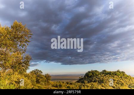 Kenianische Landschaften In Angama Mara Maasai Mara National Game Reserve Park Great Rift Valley Narok County Kenia Ostafrika Reist Afrika Dokumentarfilm Ex Stockfoto