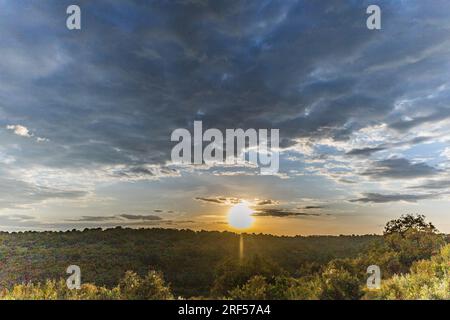 Kenianische Landschaften In Angama Mara Maasai Mara National Game Reserve Park Great Rift Valley Narok County Kenia Ostafrika Reist Afrika Dokumentarfilm Ex Stockfoto