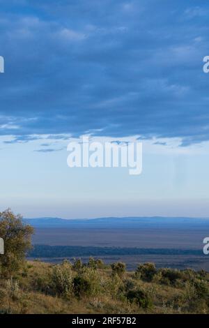 Kenianische Landschaften In Angama Mara Maasai Mara National Game Reserve Park Great Rift Valley Narok County Kenia Ostafrika Reist Afrika Dokumentarfilm Ex Stockfoto