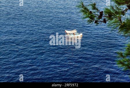 Idyllische Aussicht auf einem kleinen Motorboot im Wasser mit weißem Zelt und Pinienzweig auf der fantastischen hügeligen Hydra (griechische Inseln) Stockfoto