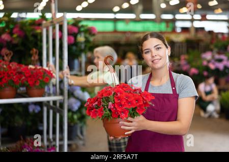 Junge Floristin mit blühender Petunie auf dem Markt Stockfoto