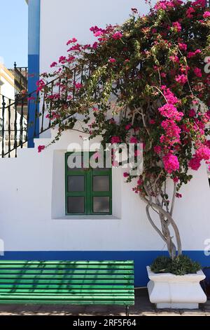 Außenansicht eines traditionell bemalten Turms am Hafeneingang von Playa de Mogan, Gran Canaria, dekoriert mit leuchtend rosa Bougainvillea, April 2022. Stockfoto