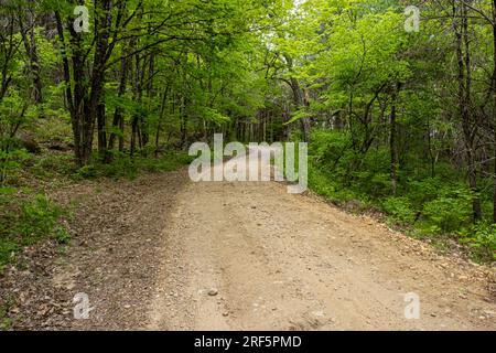 Eine alte Feldstraße in einer kleinen, ländlichen Stadt in Neuengland Stockfoto