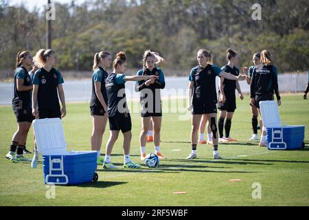 Tuggerah, Australien. 01. Aug. 2023. Fußball: Weltmeisterschaft, Frauen, Ausbildung Deutschland: Die deutschen Spieler Lena Oberdorf (l-r), Lena Lattwein, Laura Freigang, Lina Magull, Sophia Kleinherne, Sydney Lohmann, Marina Hegering, Melanie Leupolz und Sjoeke Nüsken sind auf dem Platz. Kredit: Sebastian Christoph Gollnow/dpa/Alamy Live News Stockfoto