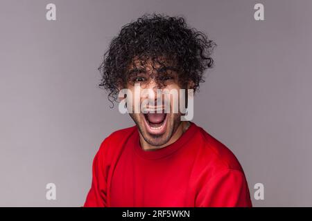 Porträt eines lustigen, wütenden, verrückten, gutaussehenden jungen, bärtigen, lockigen Mannes, der in die Kamera schaut, schreit, einen roten Pullover trägt. Studioaufnahmen im Innenbereich isoliert auf grauem Hintergrund. Stockfoto