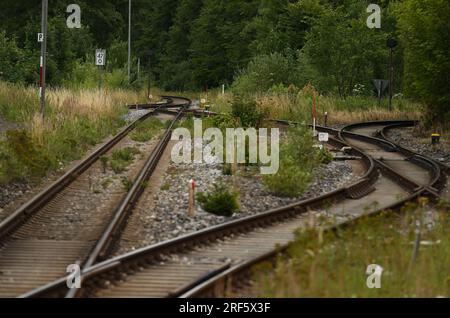 Schaftlach, Deutschland. 27. Juli 2023. Die Pflanzen wachsen zwischen den Gleisen der Bayerischen Regionalbahn (BRB) am Bahnhof Schaftlach. Der Freistaat Bayern plant, mehr als 20 Millionen Euro in die Planung des Bahnausbaus in der Region Oberland zu investieren. Kredit: Angelika Warmuth/dpa/Alamy Live News Stockfoto