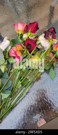 Die Überreste eines wunderschönen Straußes aus roten, rosa und weißen Rosen liegen auf einem gläsernen Terrassentisch, der dem Hintergrund einen Bokeh-Effekt verleiht. Stockfoto