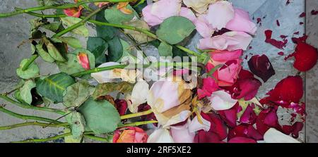 Die Überreste eines wunderschönen Straußes aus roten, rosa und weißen Rosen liegen auf einem gläsernen Terrassentisch, der einen Bokeh-Effekt auf den Hintergrund verleiht. Stockfoto