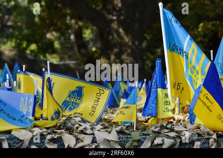 Zaporischschien, Ukraine. 31. Juli 2023. Ukrainische Flaggen sind an einem Denkmal zu sehen, das den gefallenen Soldaten der ukrainischen Streitkräfte in Saporischhien gewidmet ist. Die ukrainischen Streitkräfte sehen sich bei ihrem Vorstoß nach Süden mit bescheidenen Fortschritten und harter russischer Verteidigung großen Herausforderungen gegenüber, was es zu früh macht, um nennenswerten Erfolg zu beanspruchen, aber die Truppen sind hochmotiviert. Kredit: SOPA Images Limited/Alamy Live News Stockfoto