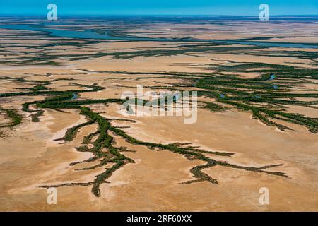 Gulf Saltpan / Albert RV., Burketown, Golf von Carpentaria, Qld Stockfoto